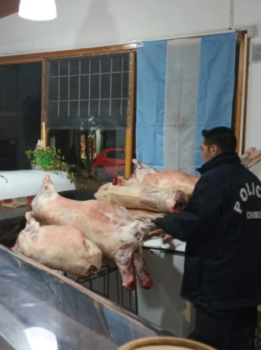 Secuestran carne de cerdo y capones faenados en una carnicería de Esquel