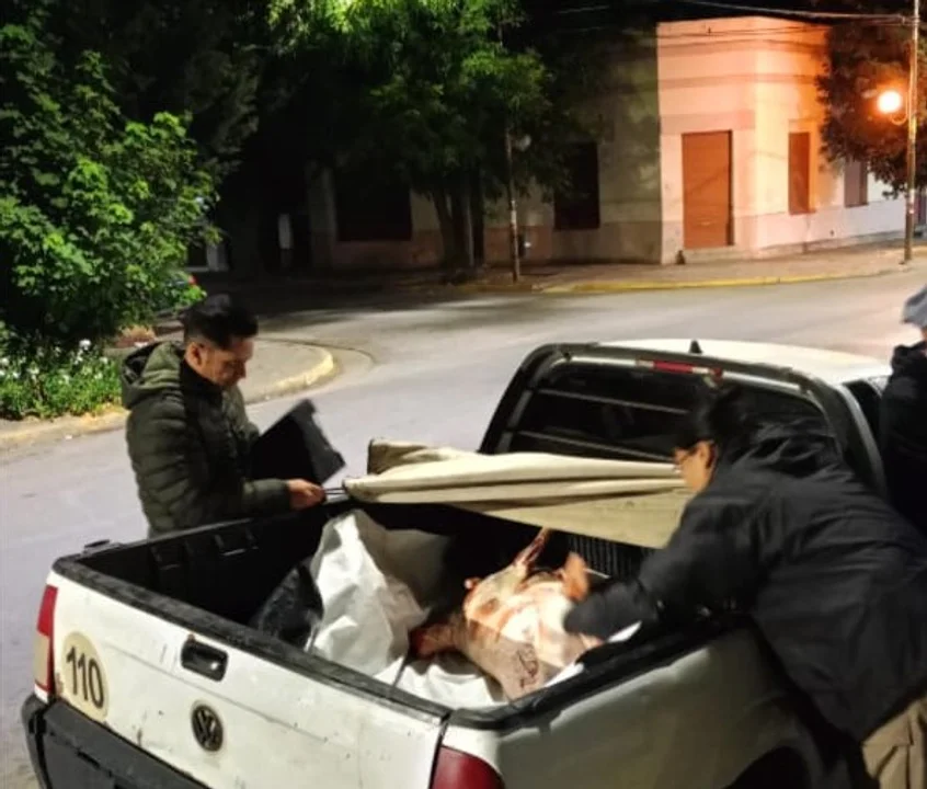Secuestran carne de cerdo y capones faenados en una carnicería de Esquel