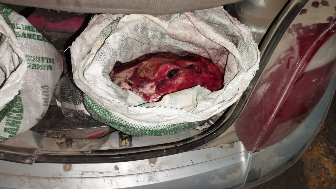 Tras intentar evadir el control interceptaron un auto que trasladaba carne vacuna en el baúl