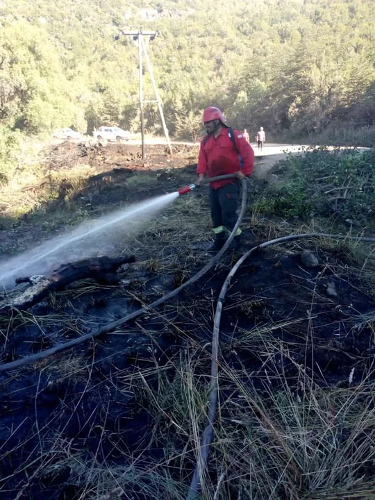 La Secretaría de Bosques de la Provincia desplegó un rápido operativo para combatir el siniestro ígneo