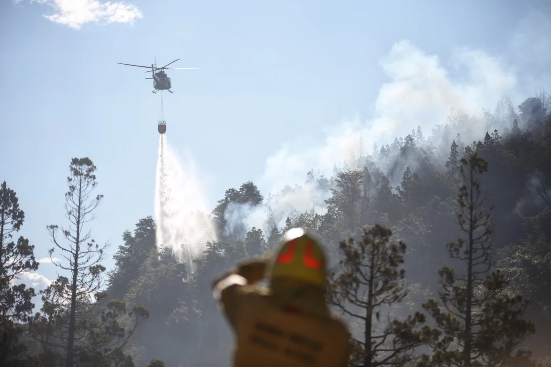El incendio del Parque Nacional Los Alerces está fuera de control