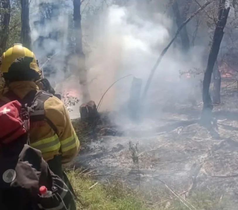 El incendio se encuentra activo sobre el límite Este del Parque: 128 brigadistas combaten el fuego