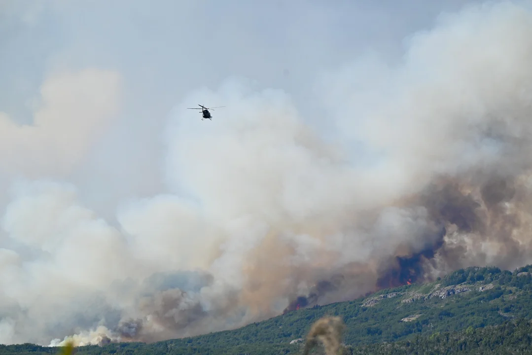 Incendio sin control: "sigue activo en todo su perímetro y avanza en dirección del viento" 
