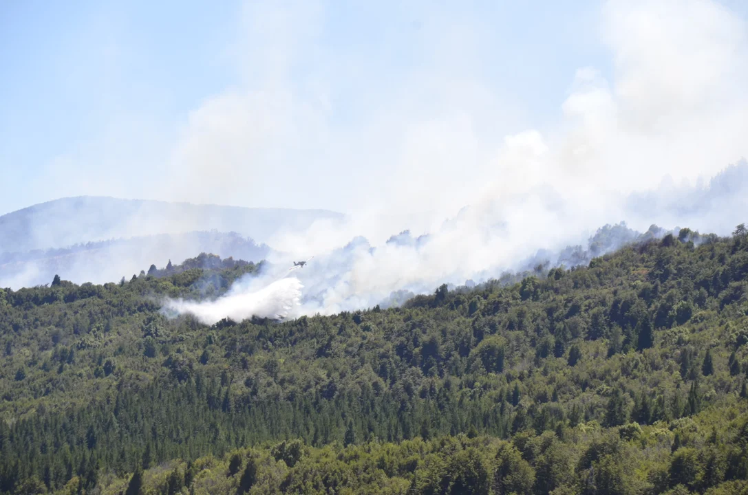 Incendio en Los Alerces: La temperatura y el viento dificultan la tarea de los brigadistas