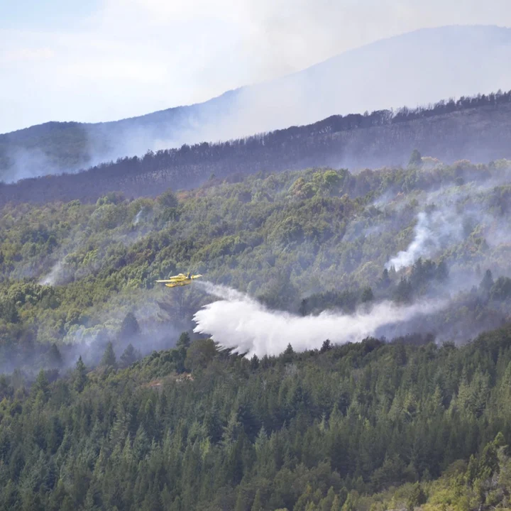 Incendio forestal en el Parque Nacional: actualización del operativo y condiciones meteorológicas