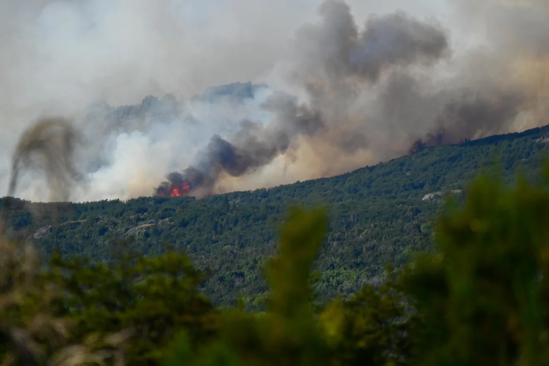 El incendio forestal afectó ya una superficie cercana a las 3010 hectáreas
