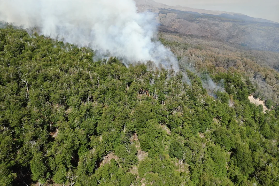 El incendio Los Alerces y jurisdicción de Chubut sigue activo y ya consumió 3147 hectáreas