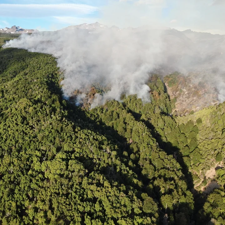 El incendio afectó cinco campos en el Parque Nacional Los Alerces