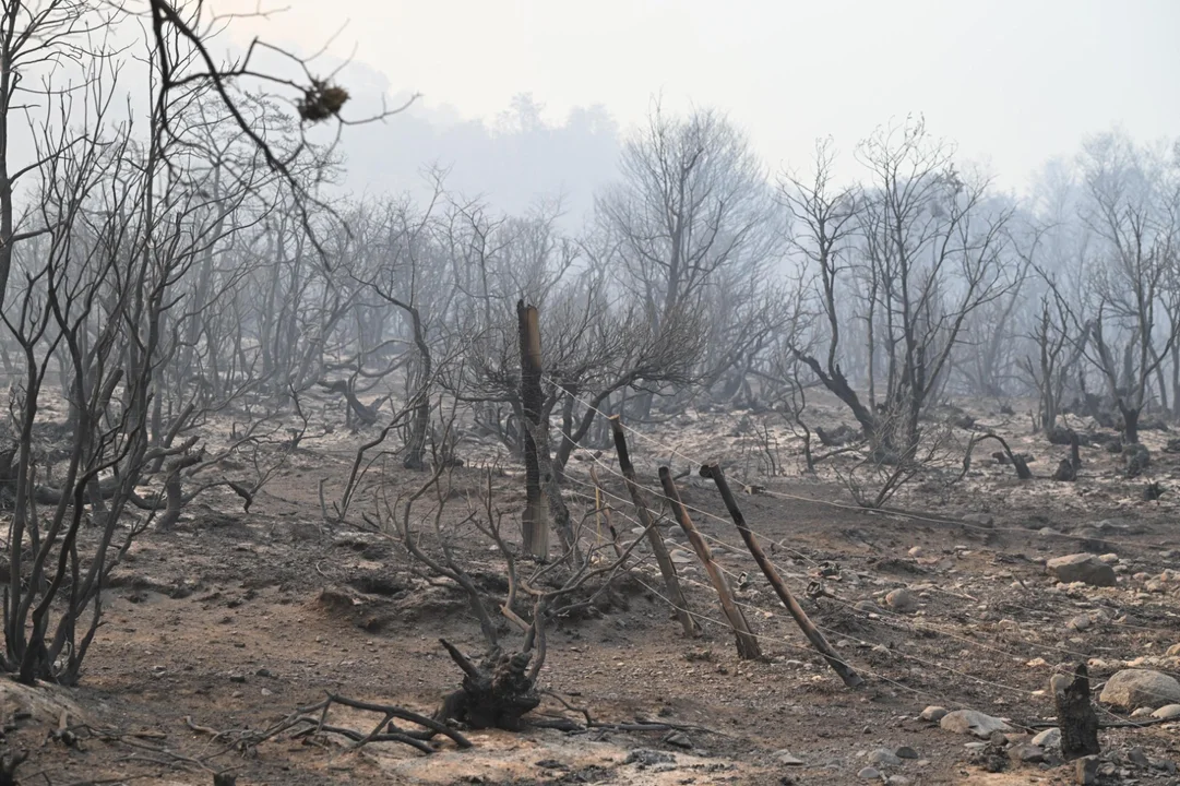 5 millones de recompensa para quien aporte datos ciertos sobre el origen de los incendios