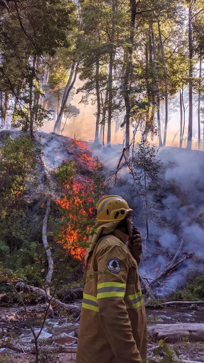 El incendio presenta varios puntos calientes y trabajan para evitar nuevos focos secundarios