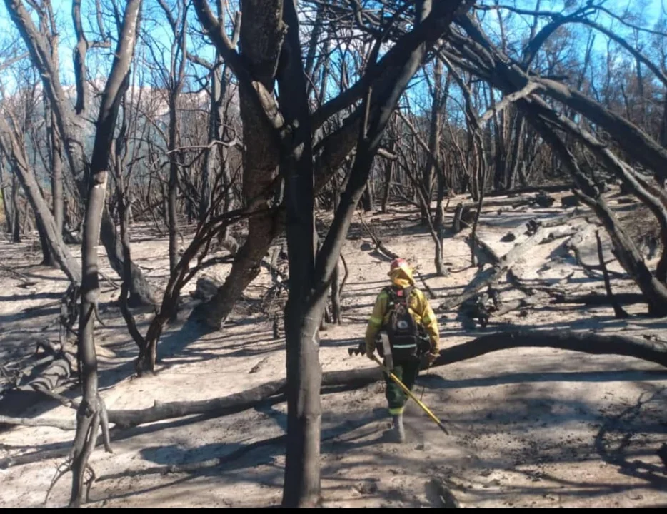 Detuvieron el avance del fuego en tres sectores, pero preocupan las condiciones meteorológicas