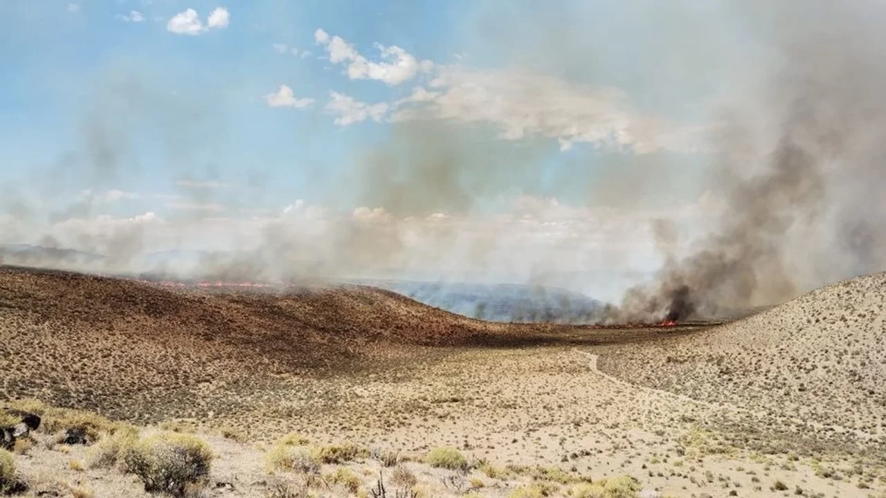 Alarma por dos incendios que se produjeron en la zona rural de Gualjaina