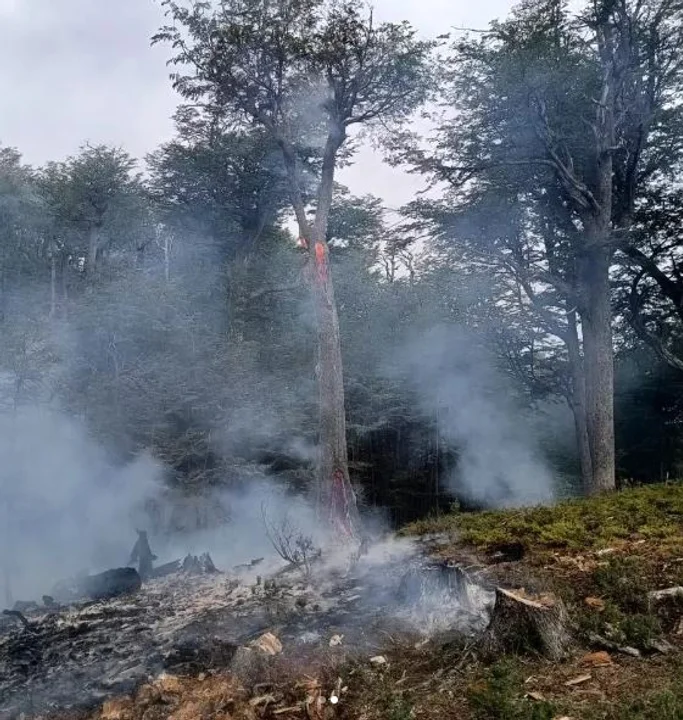 Extinguieron un incendio provocado por personas que trabajaban con motosierras en la zona de Arroyo Fontana