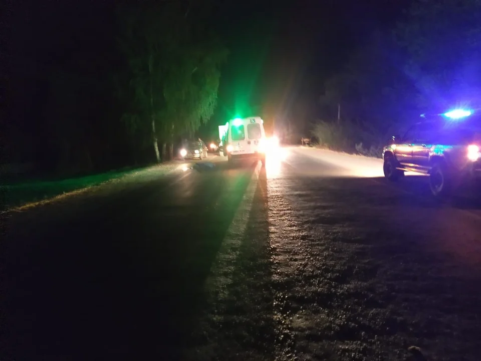 Accidente fatal en la Comarca: murió atropellado cuando deambulaba por la ruta