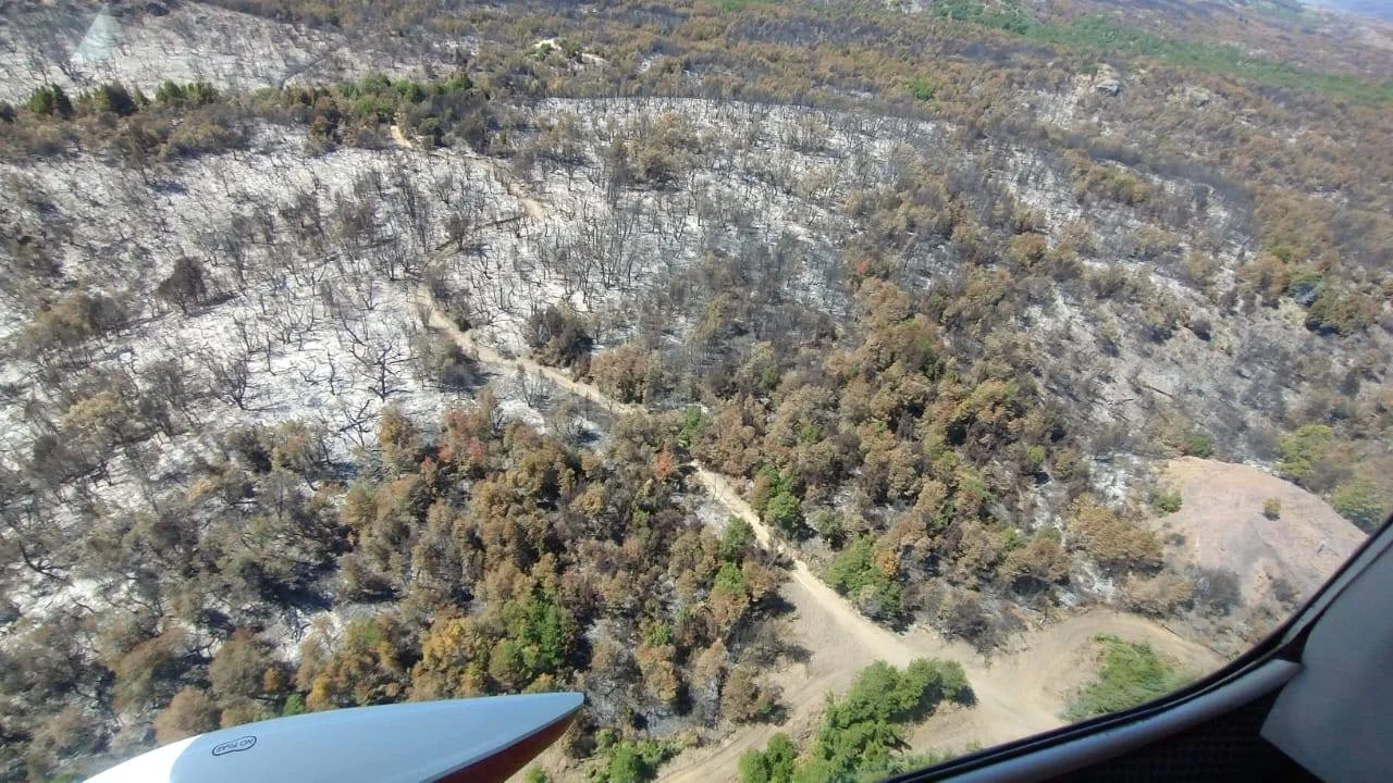 Incendio: "Todavía no podemos darlo por extinguido porque hay actividad en algunas zonas"