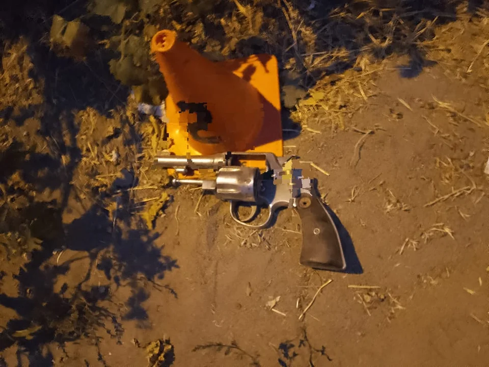 Entró a una fiesta y apuntó a la gente con un arma de fuego