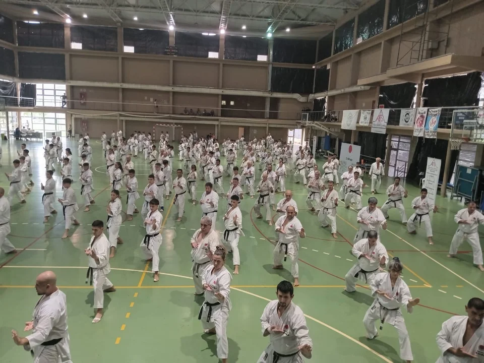Karate Do: representantes de Esquel clasificaron para el Mundial de Japón