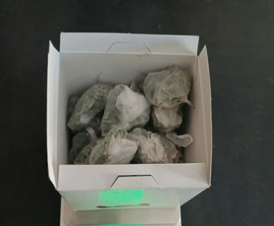 Allanaron una casa donde vendían drogas al menudeo en Esquel: secuestraron 120 dosis de cannabis