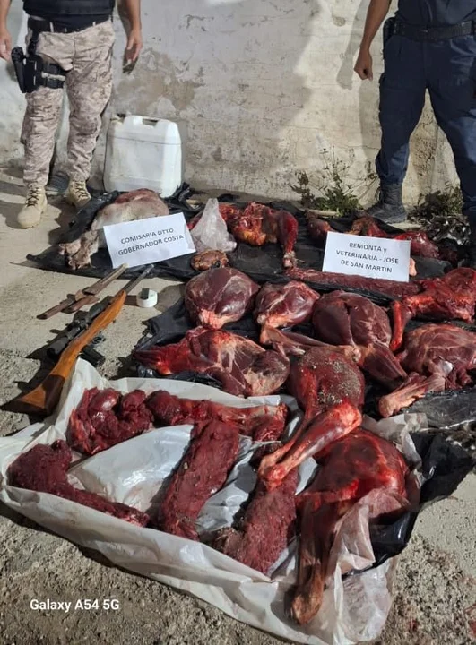 Secuestran carne de avestruz y guanaco y un arma de fuego