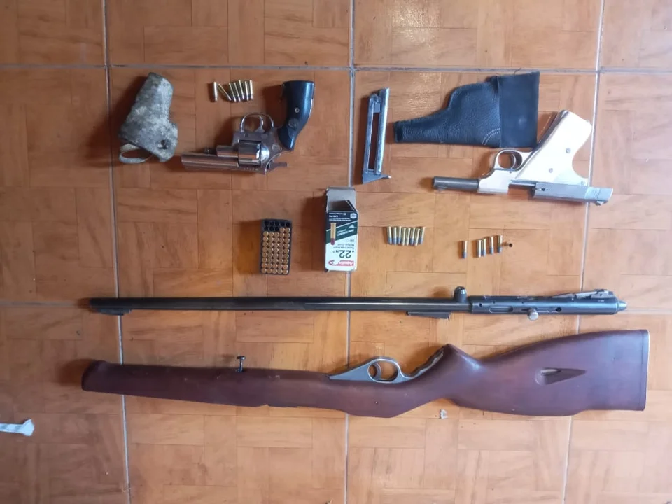 Operativos de seguridad en la cordillera: secuestro de animales faenados y armas de fuego