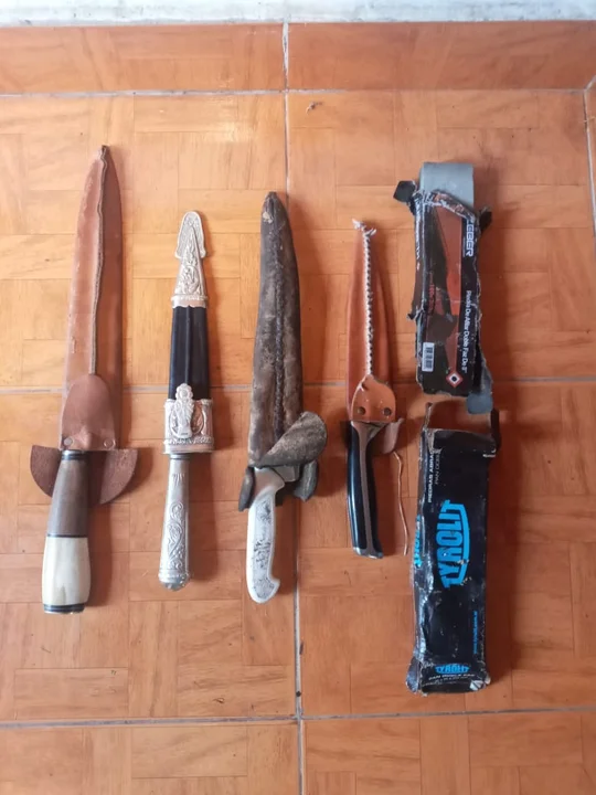 Operativos de seguridad en la cordillera: secuestro de animales faenados y armas de fuego