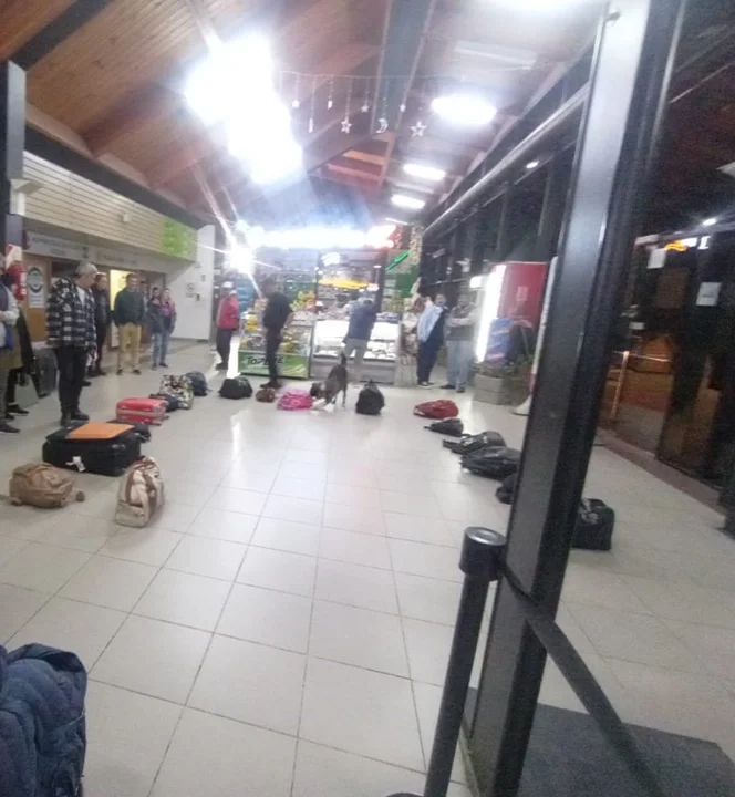 Detectaron que un pasajero llevaba más de 50 dosis de Cannabis