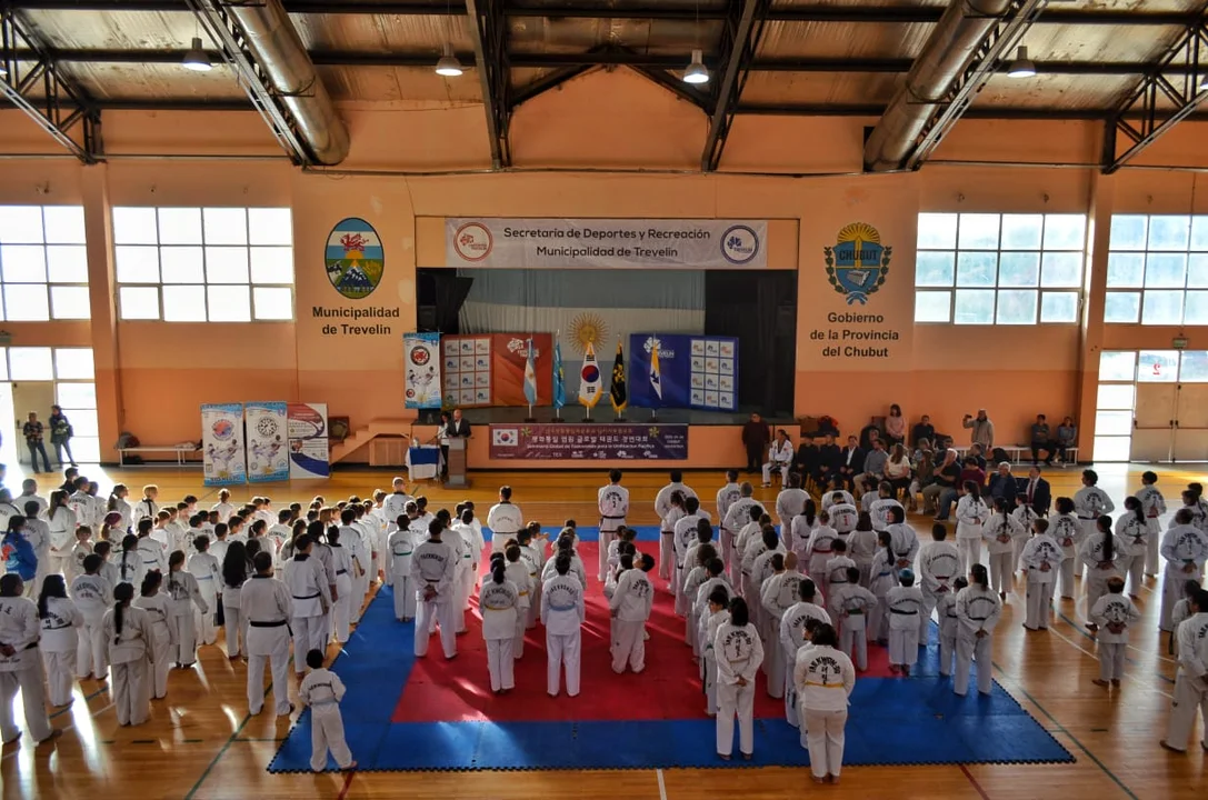 Más de 240 deportistas participaron del encuentro de Taekwondo por la Paz y la Unión