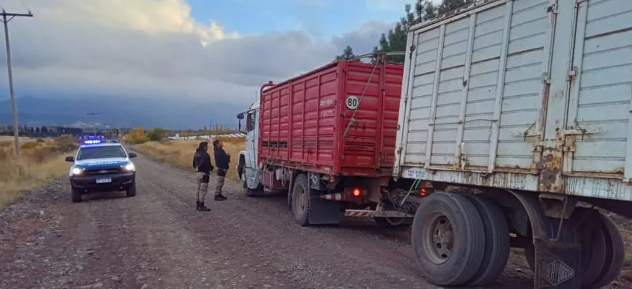 Interceptan un camión que transportaba animales sin la documentación correspondiente