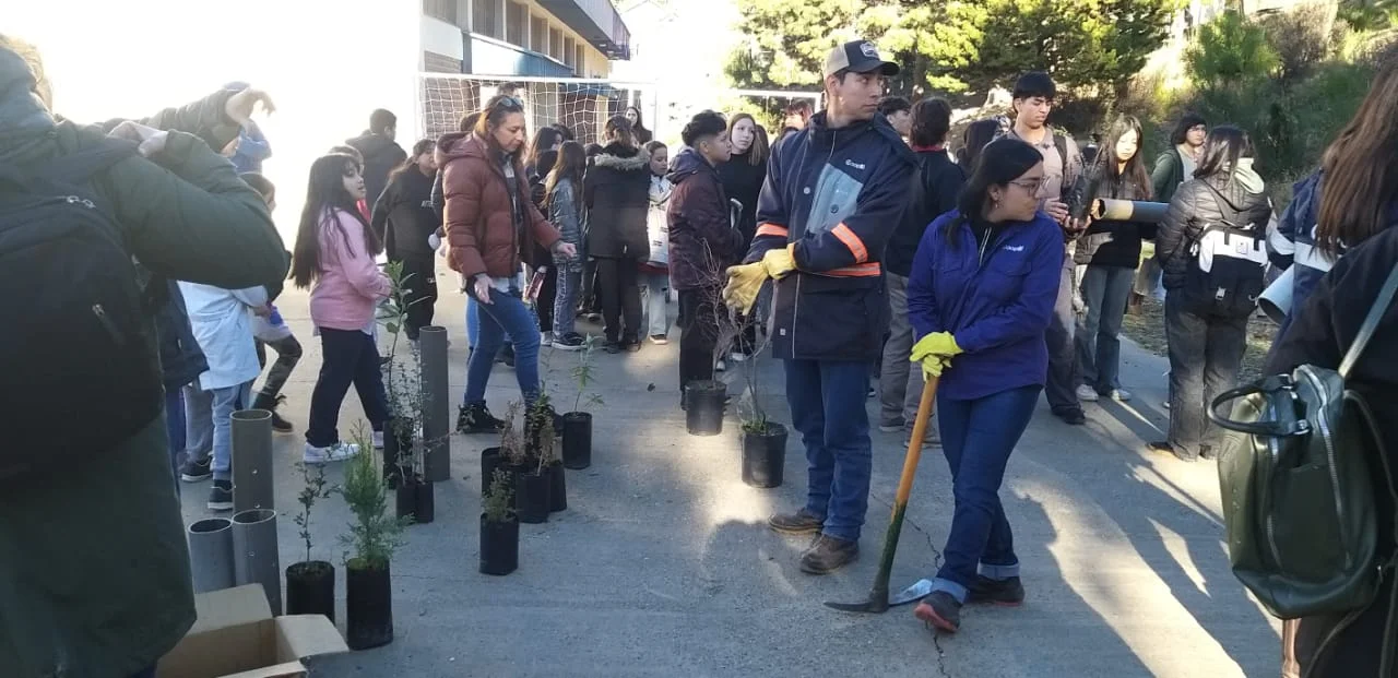 "Más bosque, más Agua": estudiantes plantaron árboles en el patio de la Escuela 200