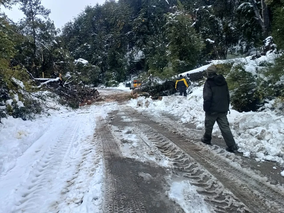 Habilitaron la Ruta 71 en el Parque Nacional Los Alerces