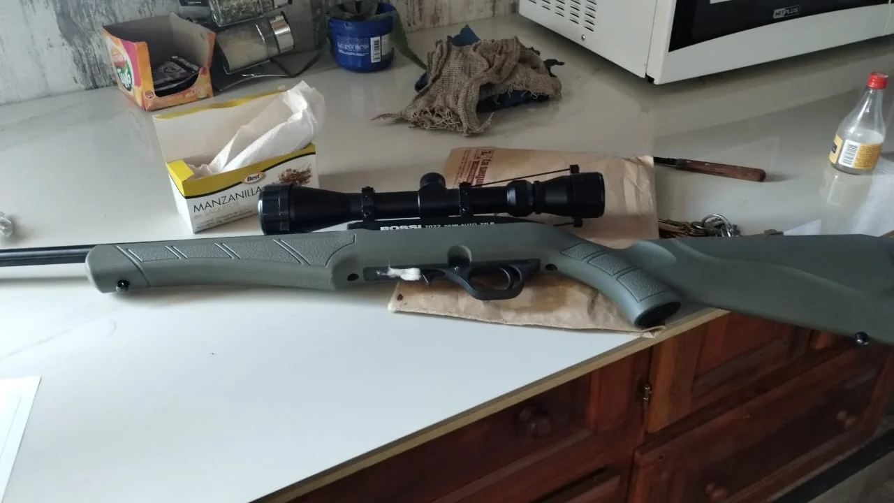 Secuestran numerosas armas de fuego y municiones en dos allanamientos