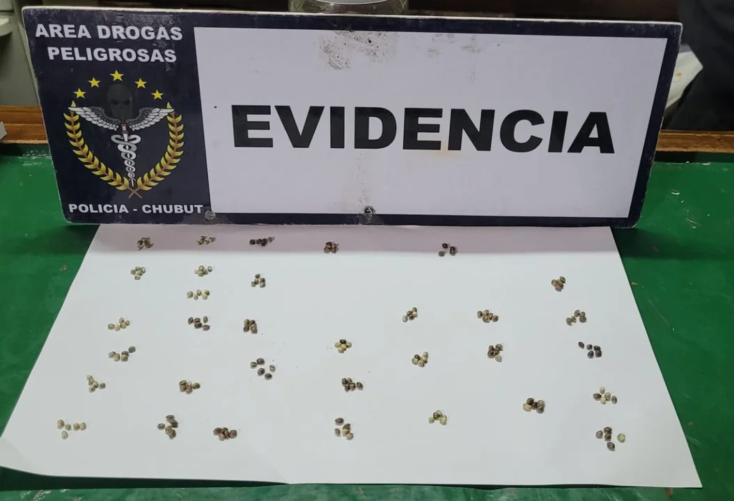 Allanamientos en Esquel: Policía desmanteló un punto de venta de drogas