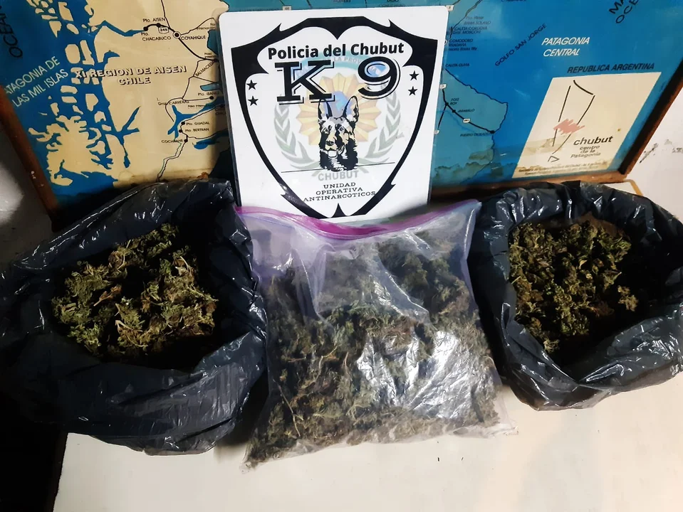 Perro antinarcóticos descubrió 700 dosis de cannabis en un auto que ingresaba a Esquel
