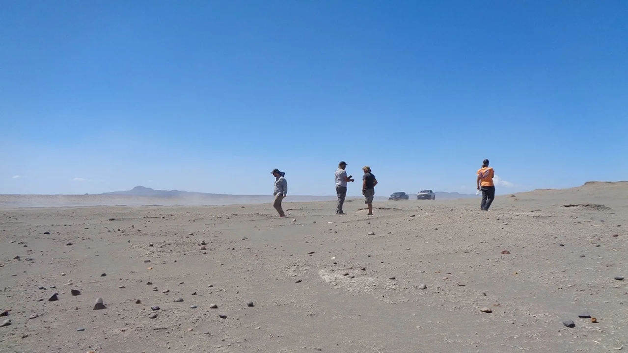 Descubren en Chubut restos arqueológicos de un perro utilizado como animal de carga