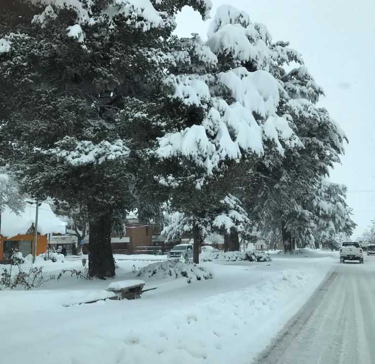 Alerta amarillo y naranja por nevadas en un amplio sector de Chubut