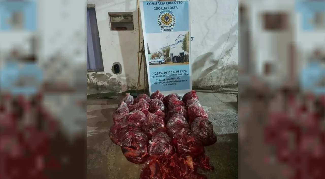 Multan a un hombre que llevaba 550 kilos de carne de guanaco en su camioneta