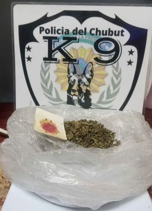 Control en la Terminal de Ómnibus: Detectaron que un pasajero llevaba 27 dosis de cannabis 