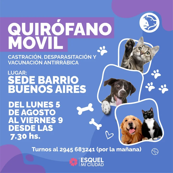 El quirófano móvil está atendiendo en el barrio Buenos Aires