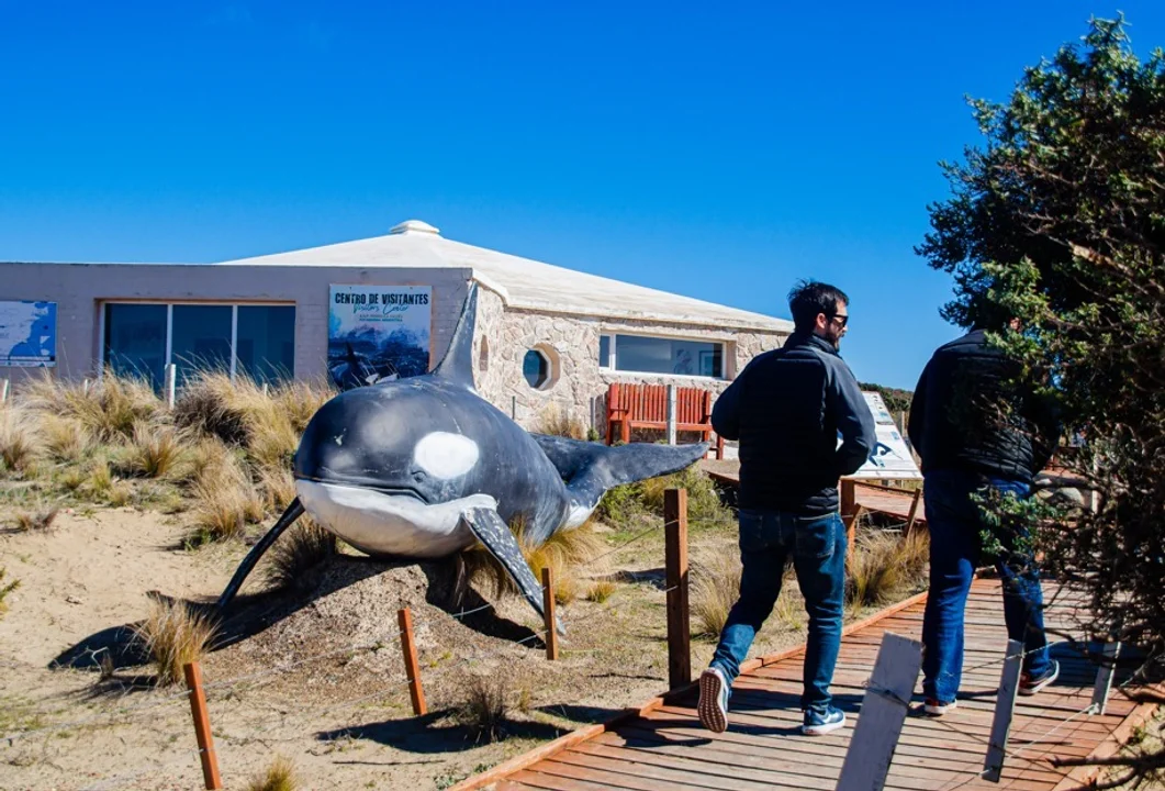 Implementan el ticket Doble Día como beneficio permanente para visitantes en la Península Valdés