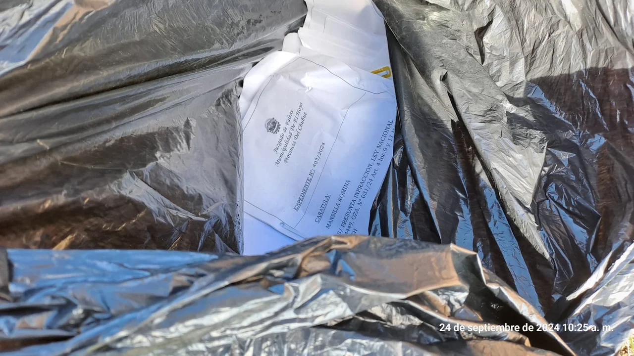 Encontraron en un cesto de basura los expedientes robados del Tribunal de Faltas de El Hoyo