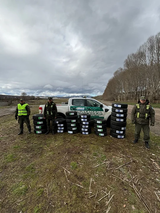 Secuestraron gran cantidad de cubiertas que eran transportadas sin aval aduanero