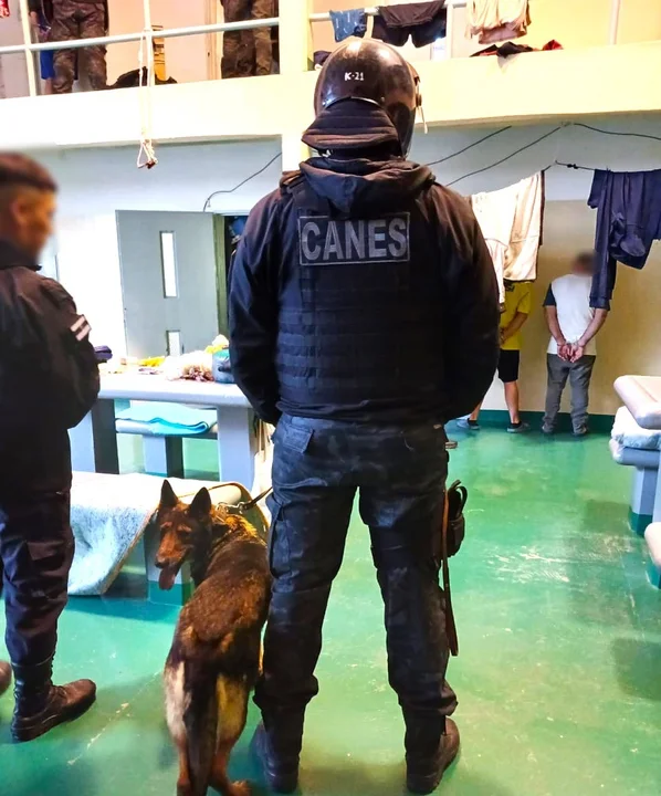 Entraron con canes en el Instituto Penitenciario y se llevaron celulares, sustancias y elementos peligrosos