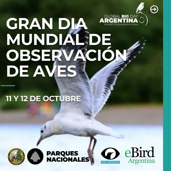 Participá de una jornada de observación de aves en el Parque Los Alerces