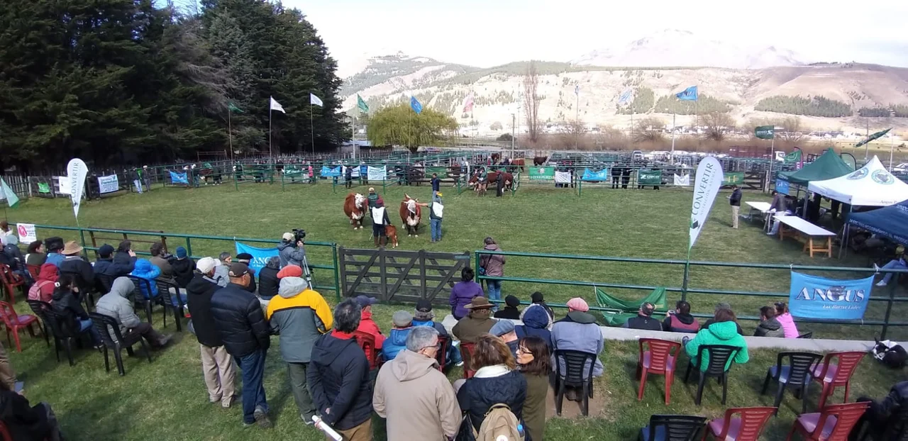 La 47° Expo Bovina coronó a sus Grandes Campeones