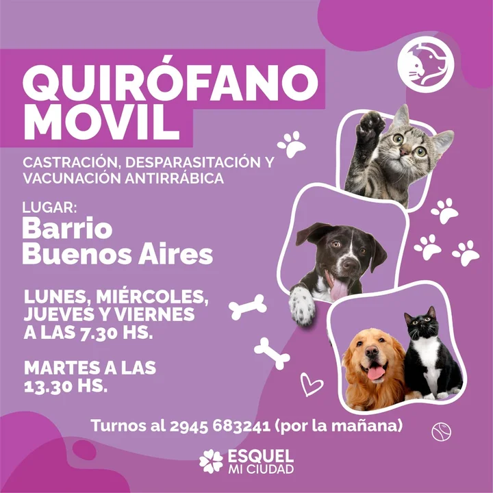 El Quirófano Móvil atiende en barrio Buenos Aires