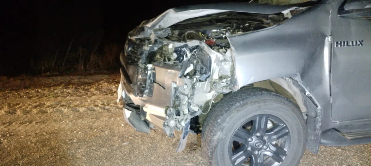 Camioneta Toyota Hilux colisiona con ciervo en Ruta Nacional N°40