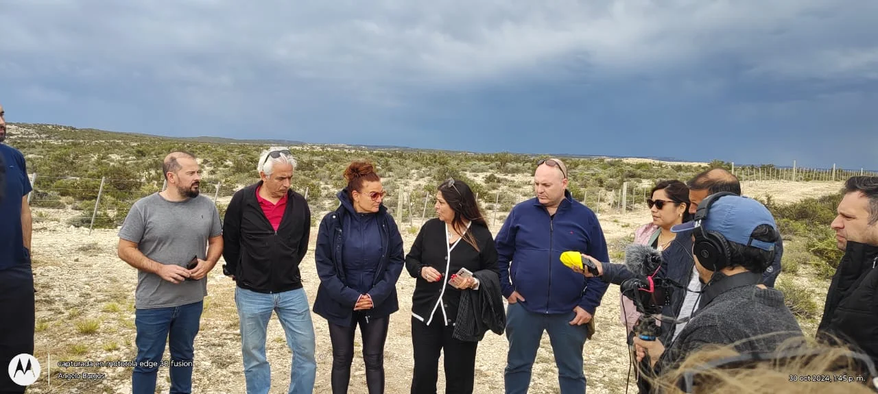 Masacre de pingüinos: Realizaron una inspección ocular donde ocurrieron los hechos
