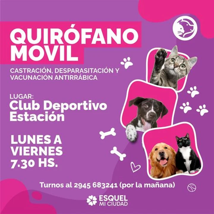 Castración y vacunación para mascotas: Dónde atiende el Quirófano Móvil esta semana