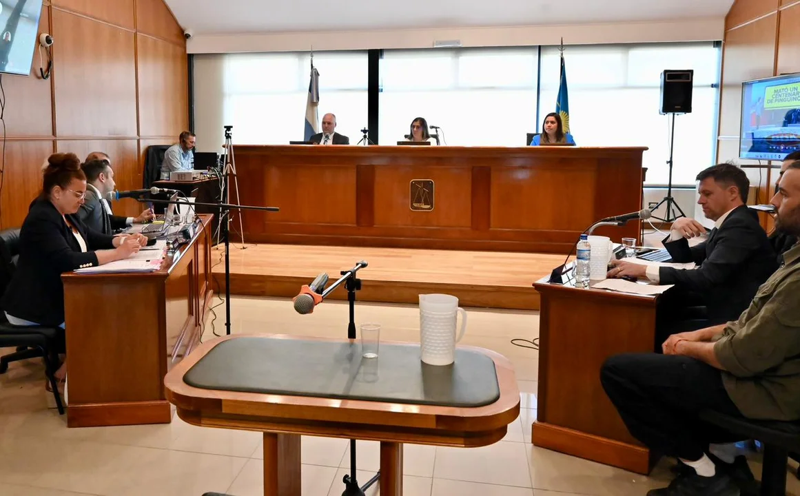 Masacre de pingüinos: La Regina fue hallado culpable de los delitos de daño y crueldad animal