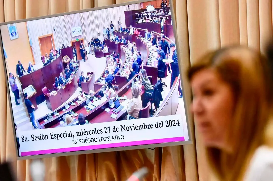 Suspendieron a la vicegobernadora de Neuquén por "inhabilidad moral"